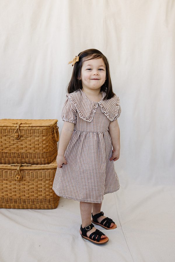 Gingham Peter Pan Collar Dress Cheap - Image 3