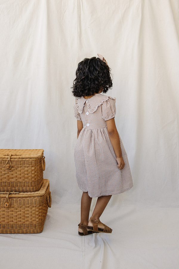 Gingham Peter Pan Collar Dress Cheap - Image 5